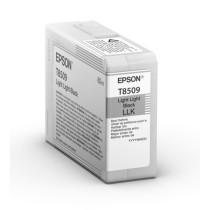 Original Tintenpatrone schwarz hell hell Epson C13T850900/T8509 schwarz
