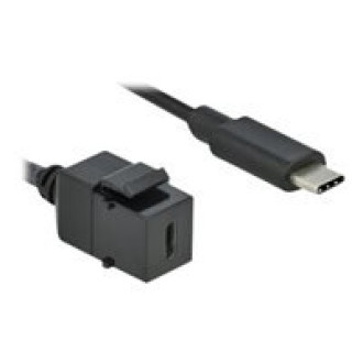 DELOCK Keystone Modul USB 3.0 C Buchse > USB 3.0 C Stecker mit Kabel