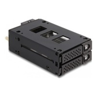 DELOCK Slim Bay Wechselrahmen für 2 x 6,35cm 2,5Zoll U.2 NVMe SSD