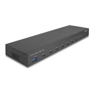 DELOCK 48,26cm 19Zoll Industrie Hub 10 x USB 10 Gbps Typ-A