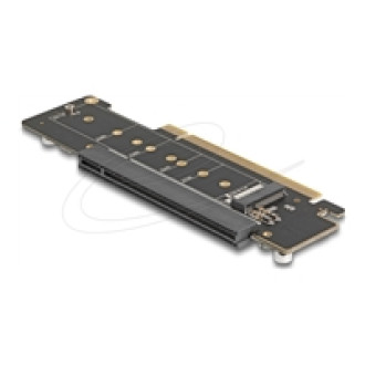 DELOCK PCI Express 4.0 x16 Riser Karte mit 2 x M.2 Key M NVMe Slot - Bifurcation