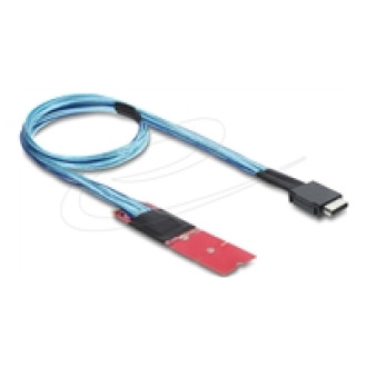 DELOCK M.2 Key M zu 1 x OCuLink SFF-8611 Konverter mit 45cm Kabel