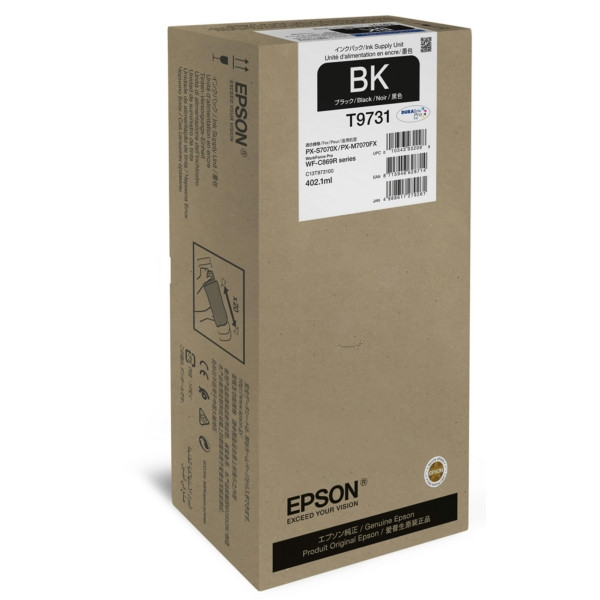 Original Cartucho de tinta negro Epson C13T973100/T9731 negro